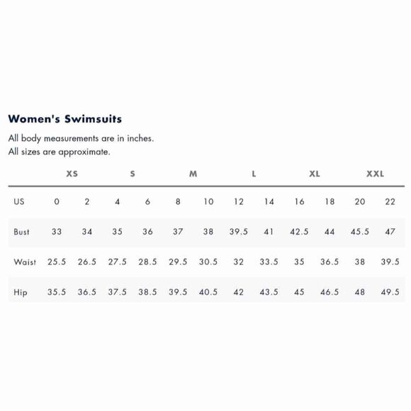 Tommy Hilfiger Navy/White V-Cut Cheeky Fit Bikini Swim Bottoms - Picture 4 of 9